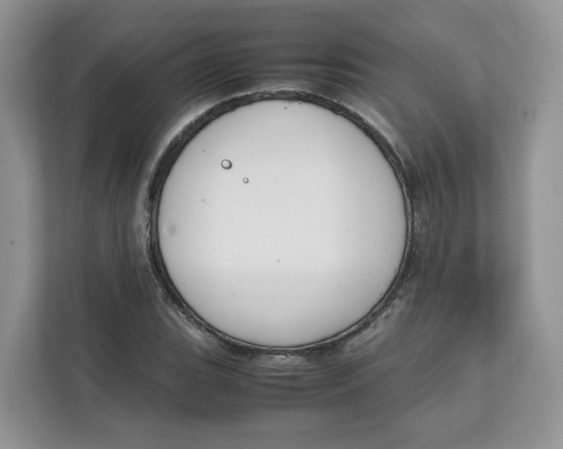 X0000111631119200908071406