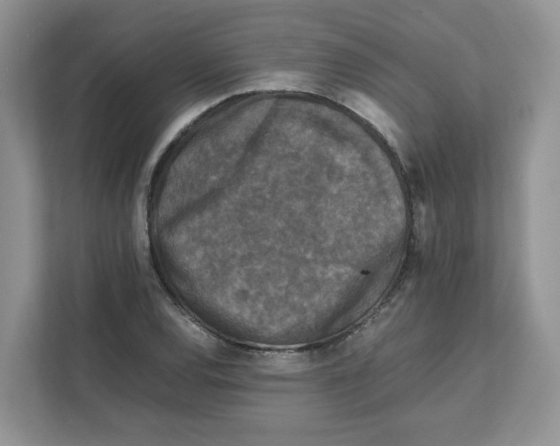 X0000111631120200908071406