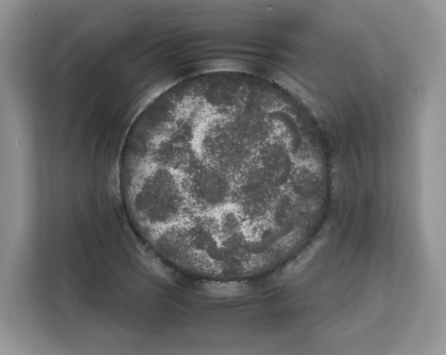 X0000111631121200908071406