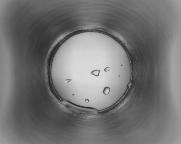 X0000111631122200908071406