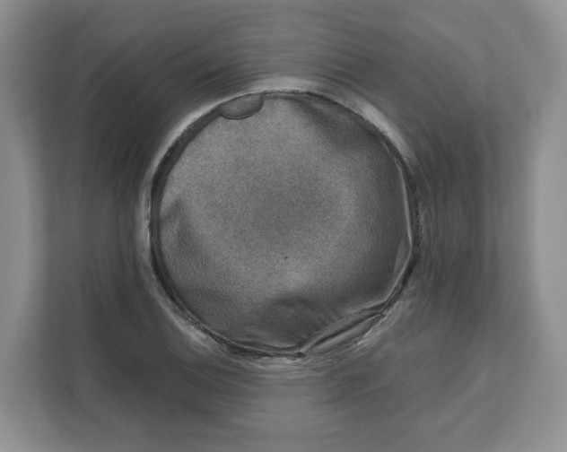 X0000111631124200908071406