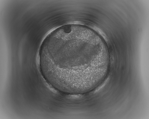 X0000111631125200908071406