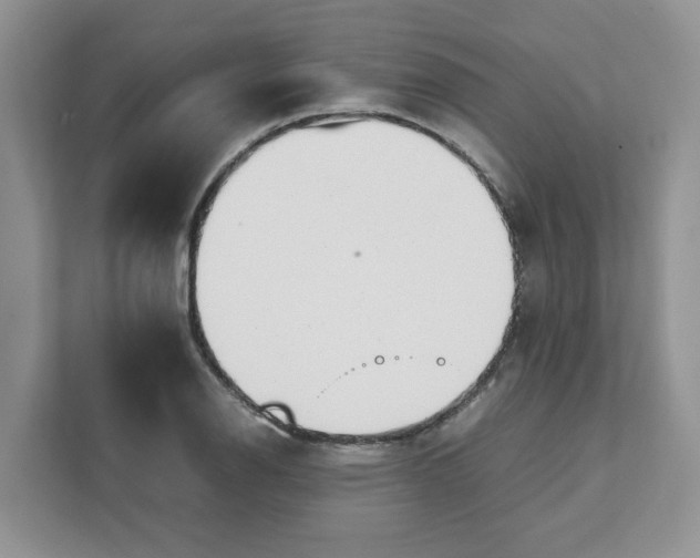 X0000111631126200908071406