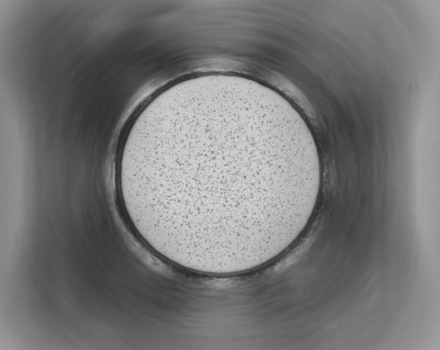 X0000111631130200908071406