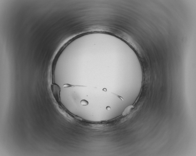 X0000111631132200908071406