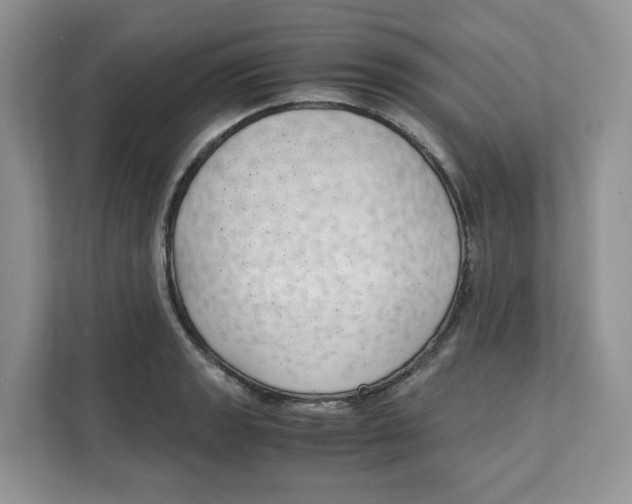 X0000111631133200908071406