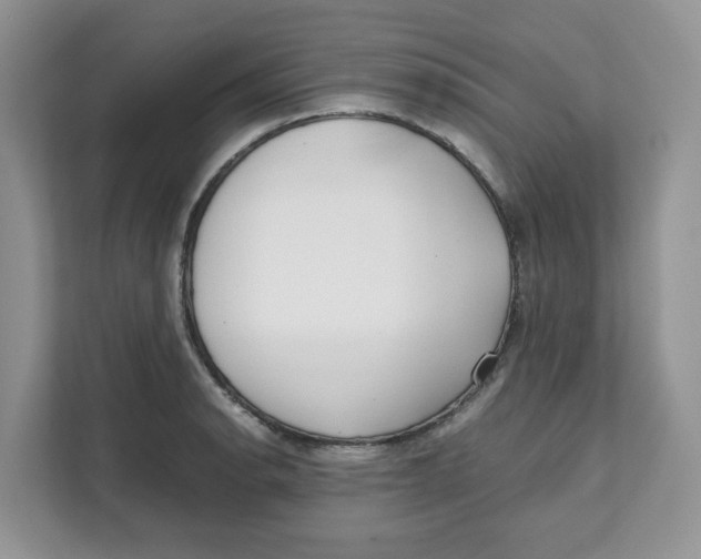 X0000111631134200908071406