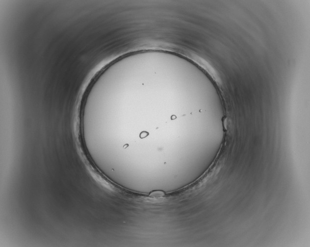 X0000111631136200908071406