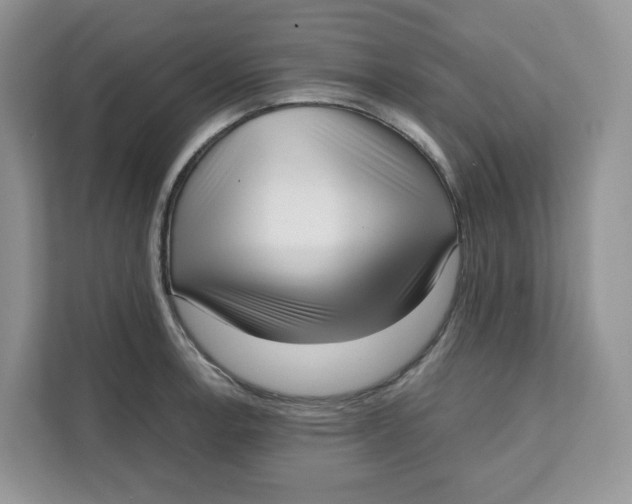 X0000111631138200908071406