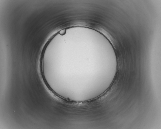 X0000111631139200908071406