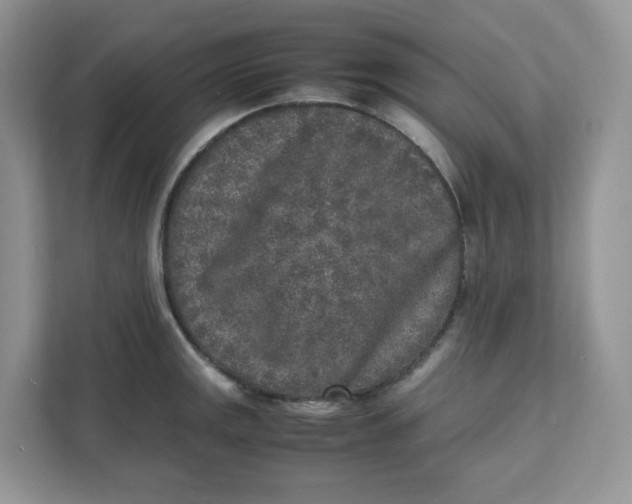 X0000111631141200908071406