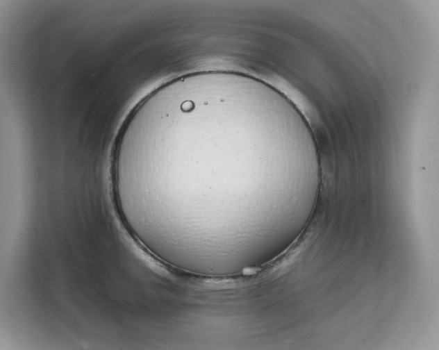 X0000111631142200908071406