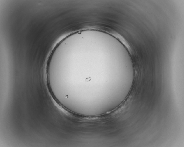 X0000111631143200908071406