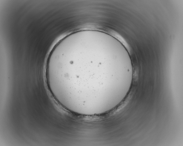 X0000111631146200908071406