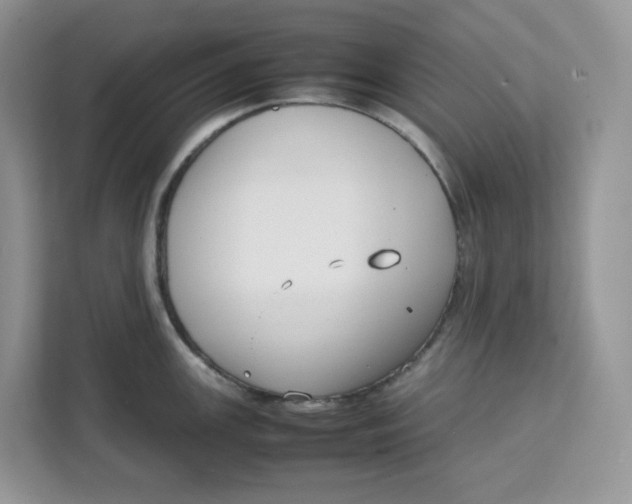 X0000111631147200908071406