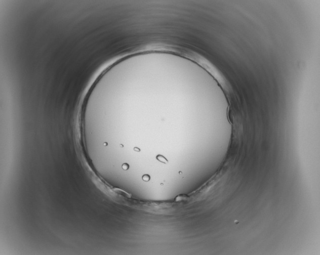 X0000111631148200908071406