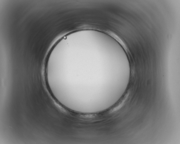 X0000111631149200908071406