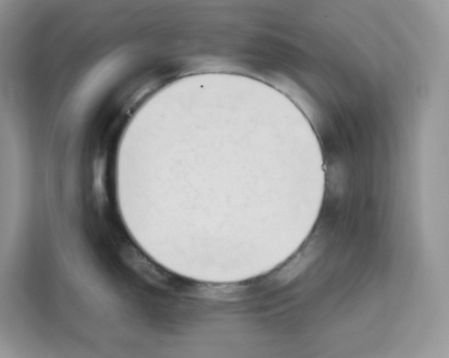 X0000111631150200908071406