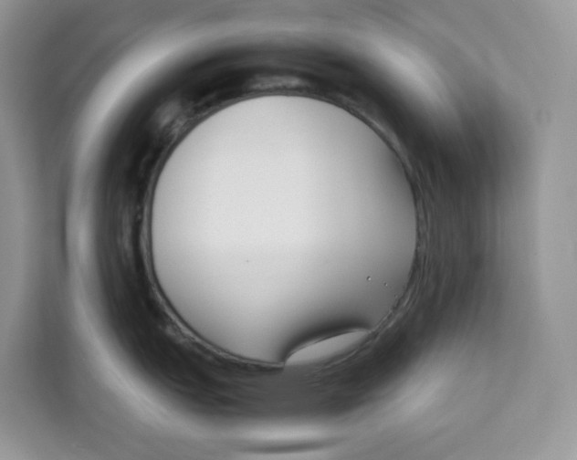 X0000111631151200908071406