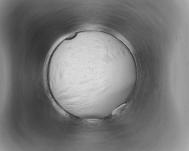 X0000111631152200908071406