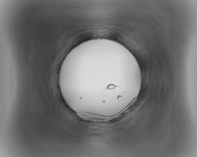 X0000111631153200908071405