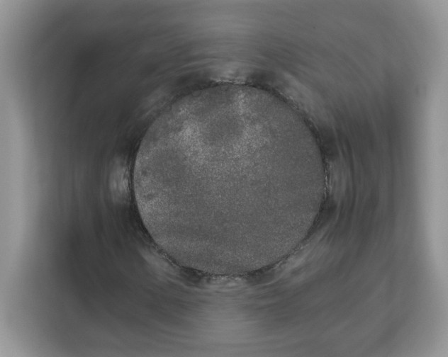 X0000111631154200908071405