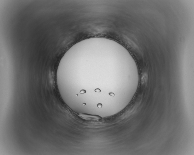 X0000111631156200908071405