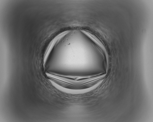 X0000111631157200908071405