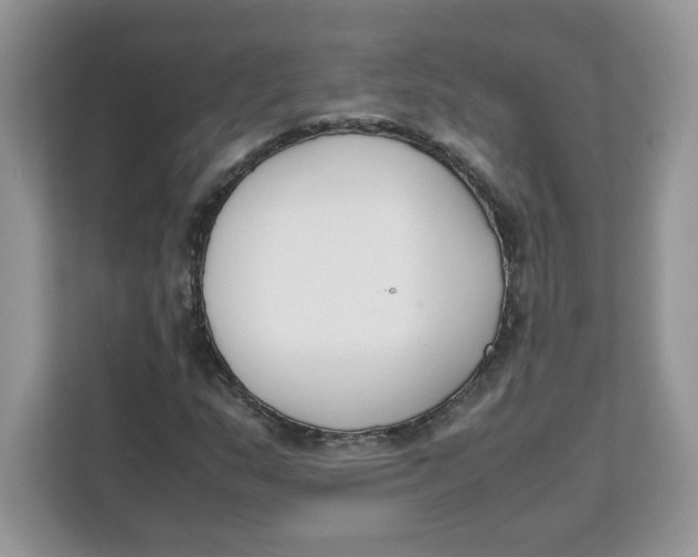 X0000111631159200908071405