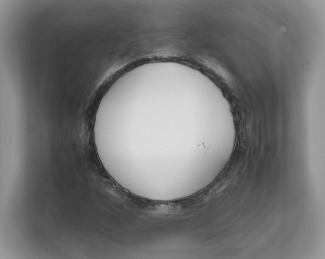 X0000111631160200908071405