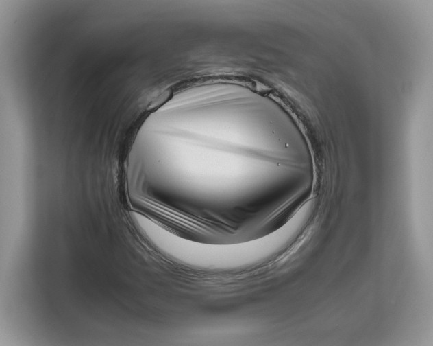 X0000111631161200908071405