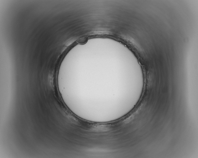 X0000111631162200908071405