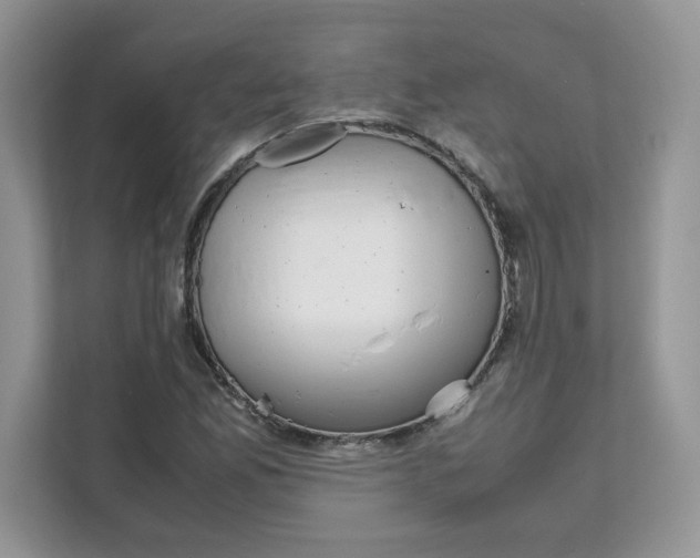 X0000111631165200908071405