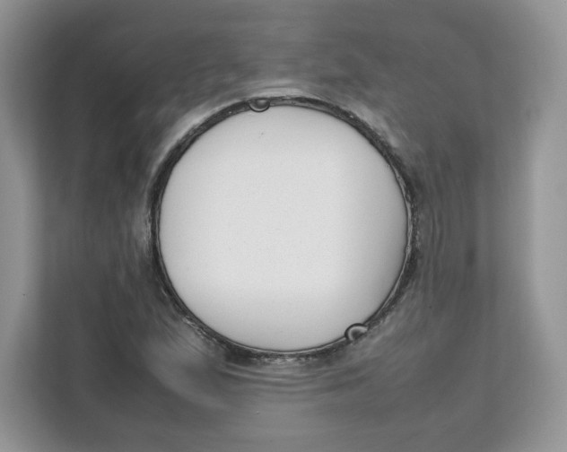 X0000111631167200908071405