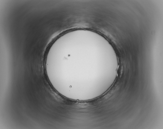 X0000111631168200908071405