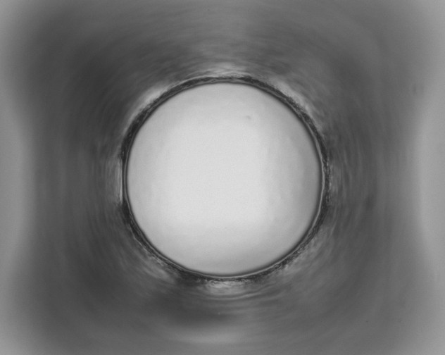 X0000111631171200908071405