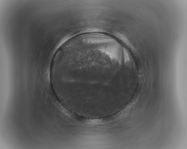 X0000111631173200908071405