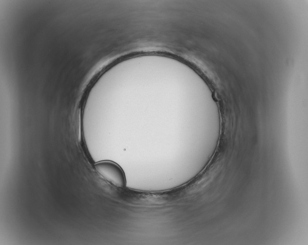 X0000111631175200908071405