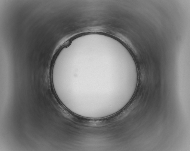 X0000111631176200908071405