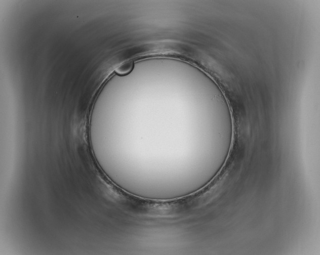 X0000111631177200908071405