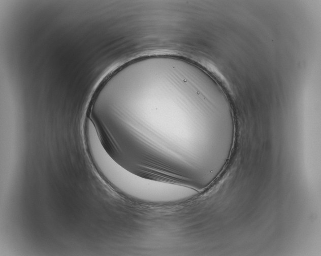 X0000111631181200908071405