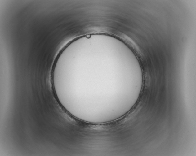 X0000111631182200908071405