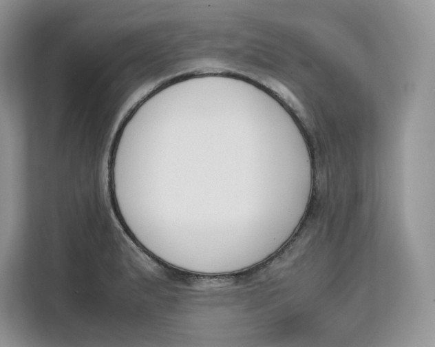 X0000111631183200908071405