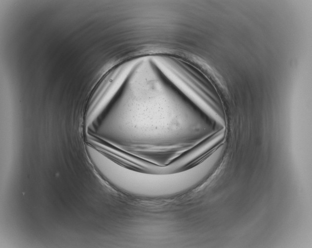 X0000111631185200908071405