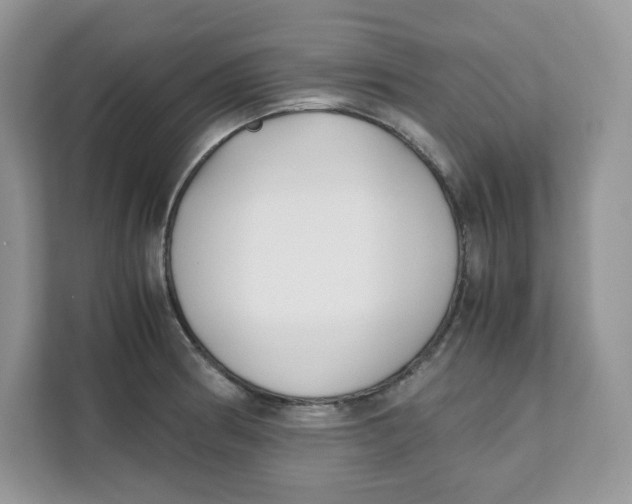 X0000111631186200908071405