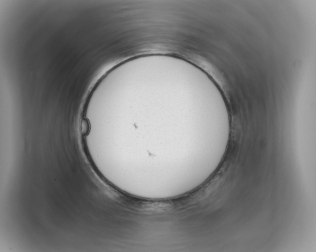 X0000111631187200908071405