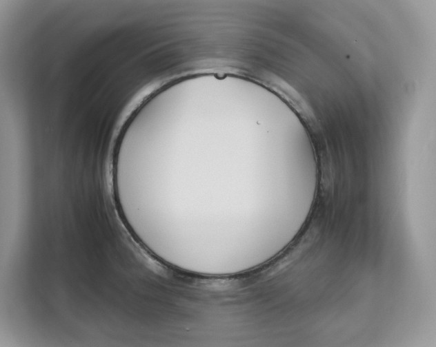 X0000111631188200908071405