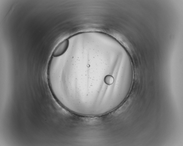 X0000111631189200908071405