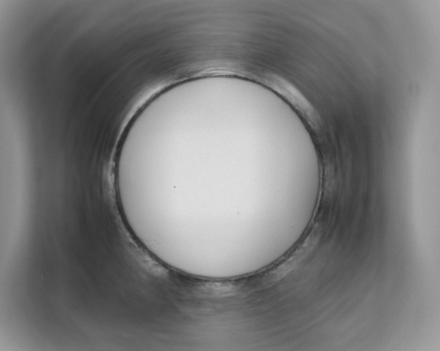 X0000111631190200908071405