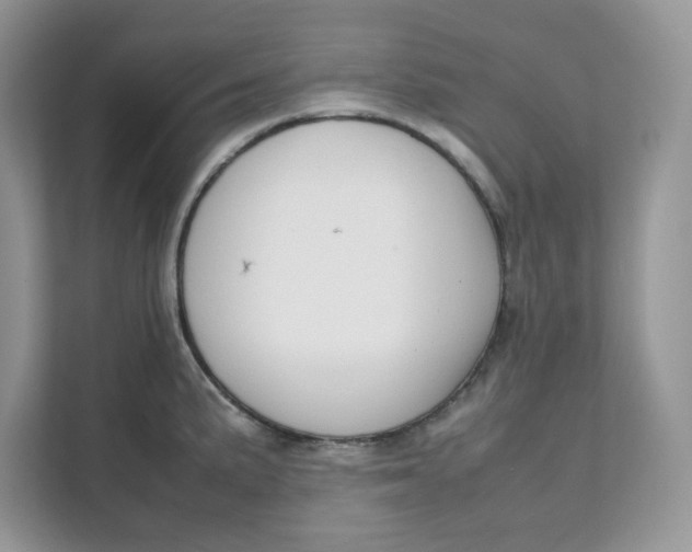 X0000111631191200908071405